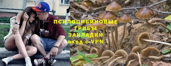 spice Сафоново